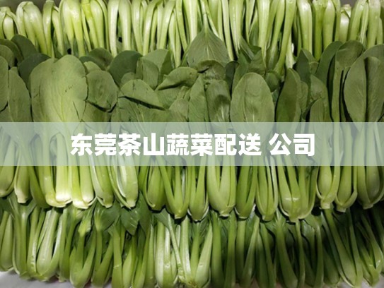 东莞茶山蔬菜配送 公司