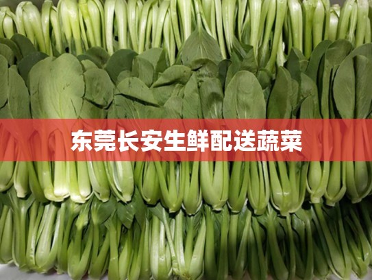 东莞长安生鲜配送蔬菜