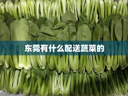 东莞有什么配送蔬菜的