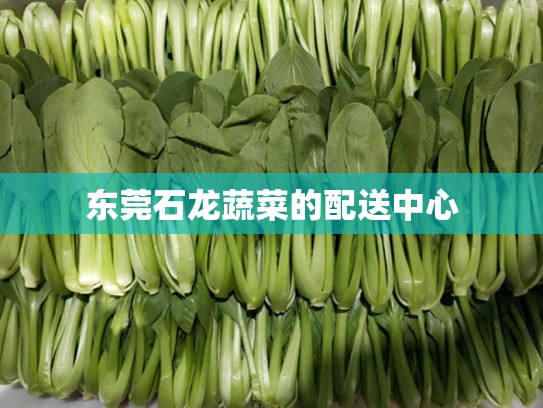 东莞石龙蔬菜的配送中心
