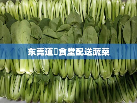东莞道滘食堂配送蔬菜