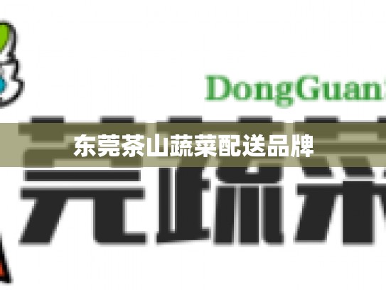 东莞茶山蔬菜配送品牌