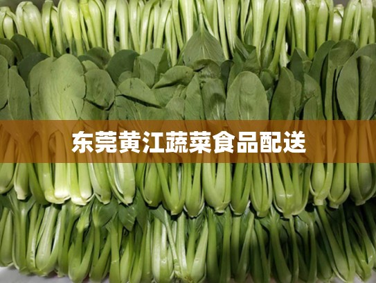 东莞黄江蔬菜食品配送