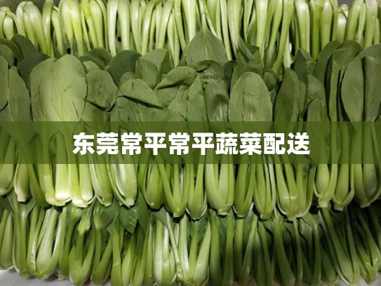 东莞常平常平蔬菜配送