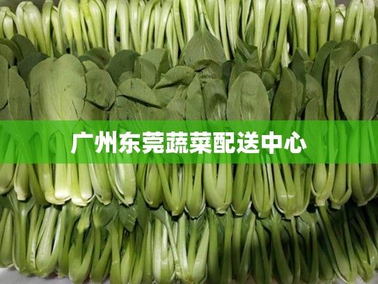 广州东莞蔬菜配送中心