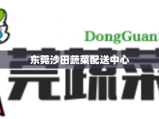 东莞沙田蔬菜配送中心