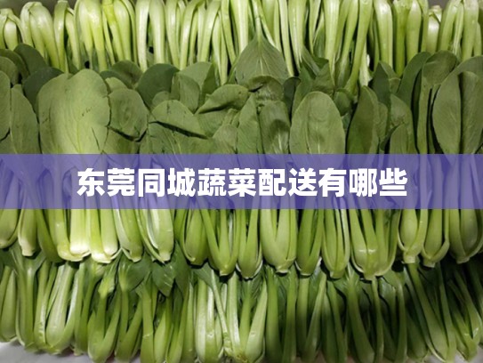 东莞同城蔬菜配送有哪些