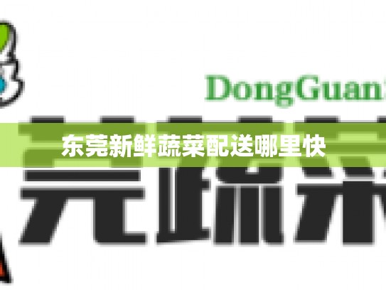 东莞新鲜蔬菜配送哪里快