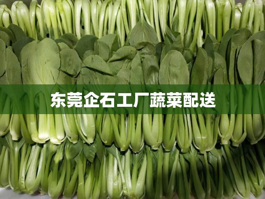 东莞企石工厂蔬菜配送