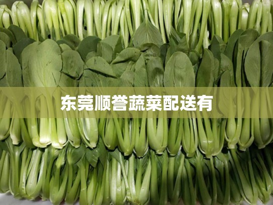 东莞顺誉蔬菜配送有