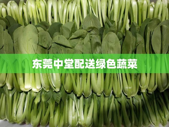东莞中堂配送绿色蔬菜