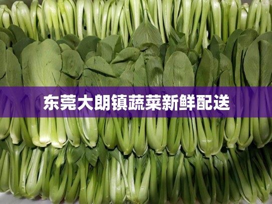 东莞大朗镇蔬菜新鲜配送