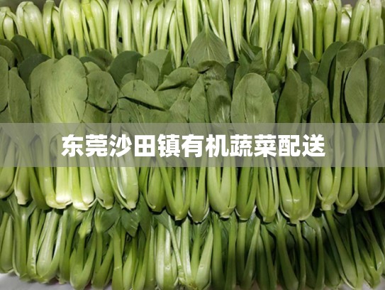 东莞沙田镇有机蔬菜配送
