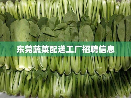 东莞蔬菜配送工厂招聘信息