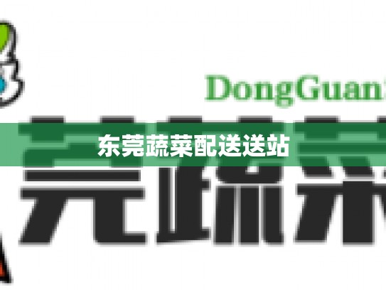 东莞蔬菜配送送站