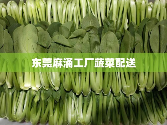 东莞麻涌工厂蔬菜配送