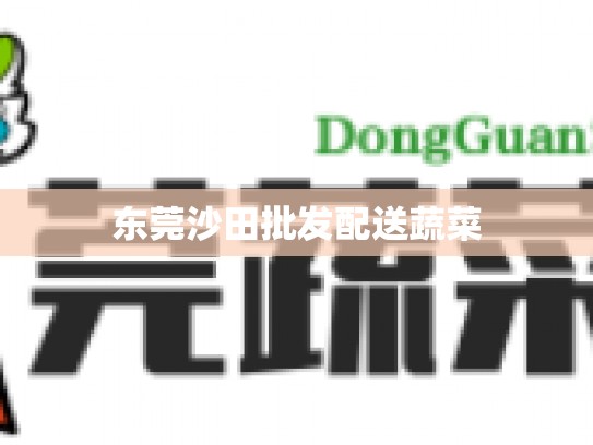 东莞沙田批发配送蔬菜