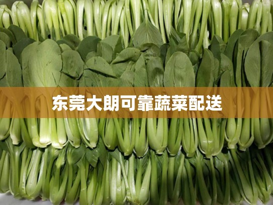 东莞大朗可靠蔬菜配送