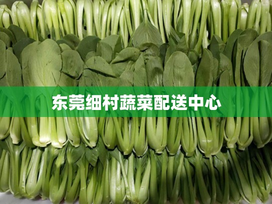 东莞细村蔬菜配送中心