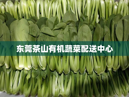 东莞茶山有机蔬菜配送中心