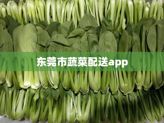 东莞市蔬菜配送app