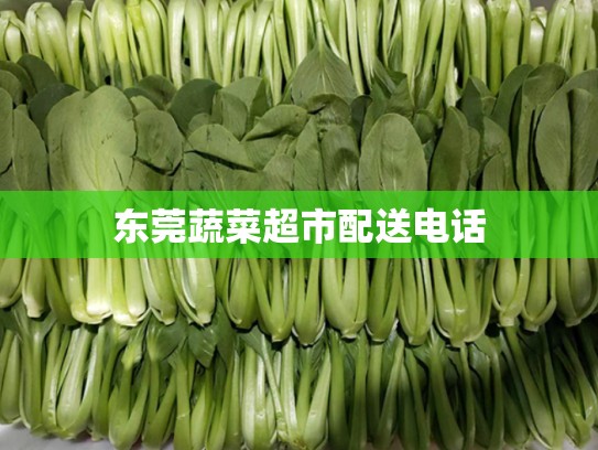 东莞蔬菜超市配送电话
