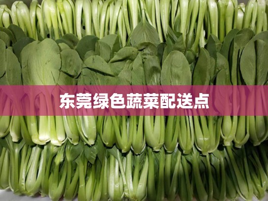 东莞绿色蔬菜配送点