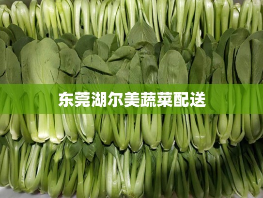 东莞湖尔美蔬菜配送
