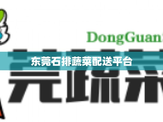 东莞石排蔬菜配送平台