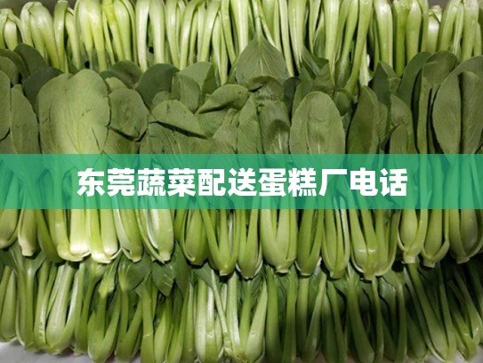 东莞蔬菜配送蛋糕厂电话