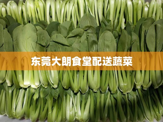东莞大朗食堂配送蔬菜
