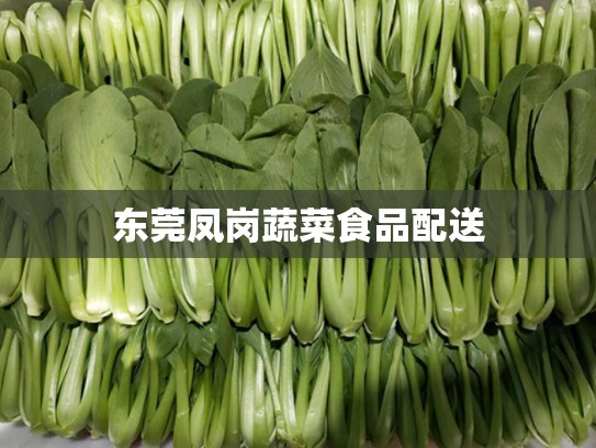 东莞凤岗蔬菜食品配送