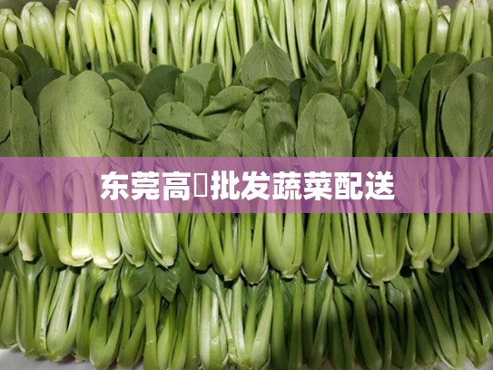 东莞高埗批发蔬菜配送