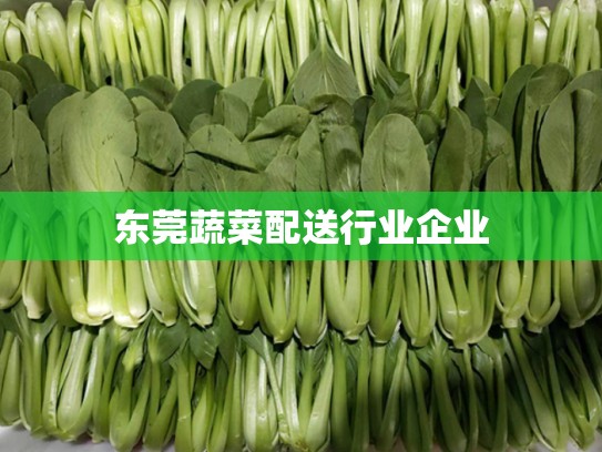 东莞蔬菜配送行业企业
