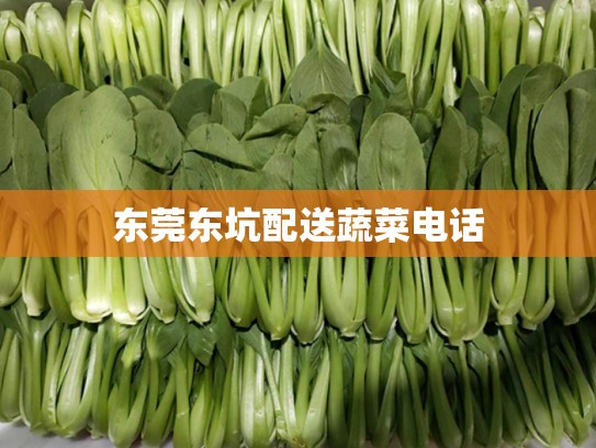 东莞东坑配送蔬菜电话