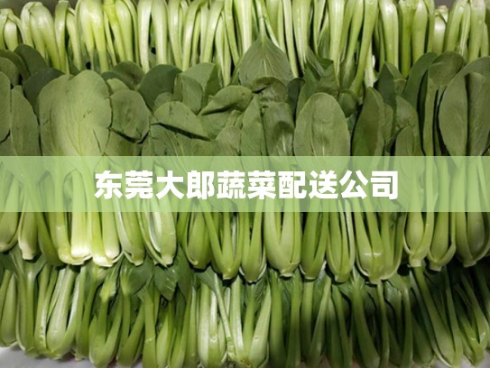 东莞大郎蔬菜配送公司