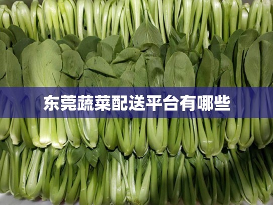 东莞蔬菜配送平台有哪些