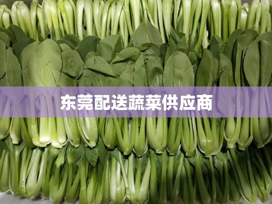 东莞配送蔬菜供应商