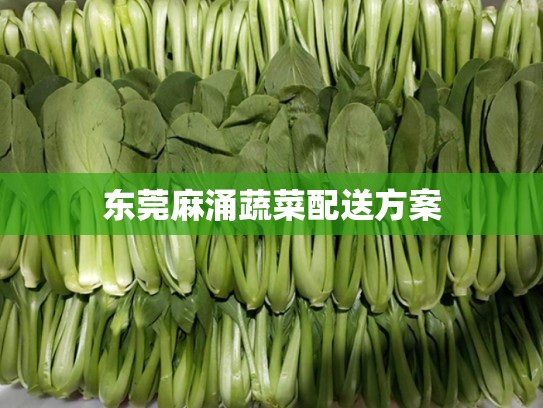 东莞麻涌蔬菜配送方案