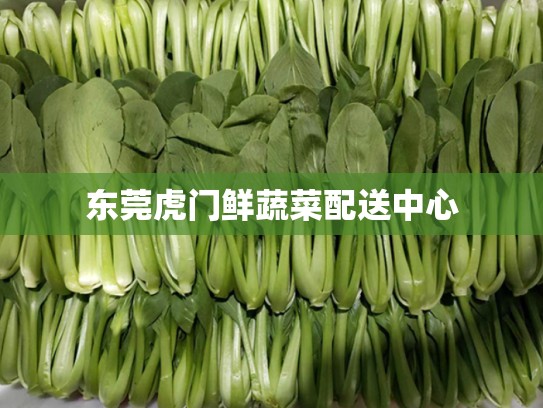 东莞虎门鲜蔬菜配送中心