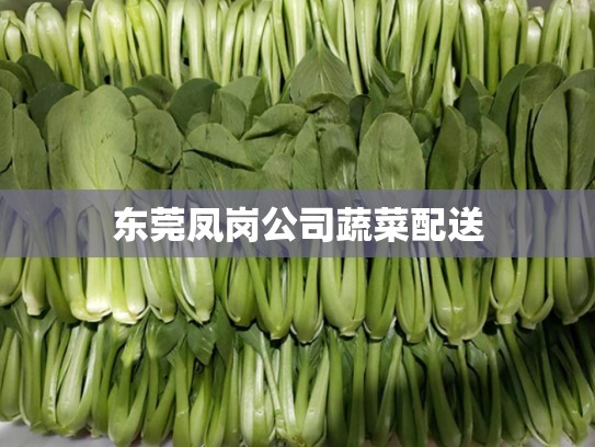 东莞凤岗公司蔬菜配送