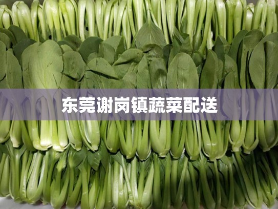 东莞谢岗镇蔬菜配送