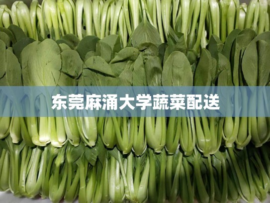 东莞麻涌大学蔬菜配送