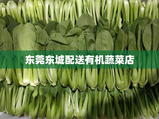 东莞东城配送有机蔬菜店