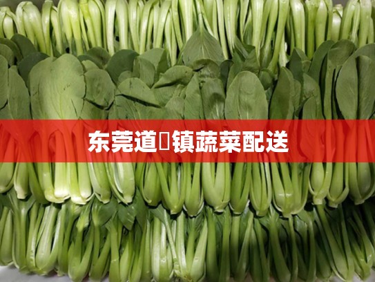 东莞道滘镇蔬菜配送