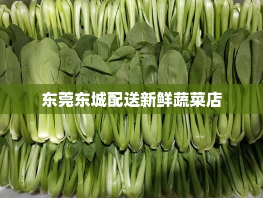 东莞东城配送新鲜蔬菜店