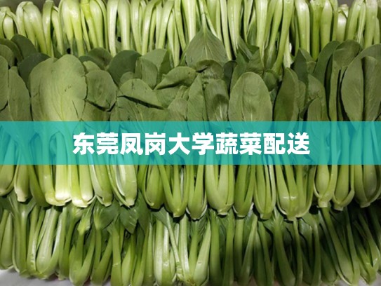 东莞凤岗大学蔬菜配送