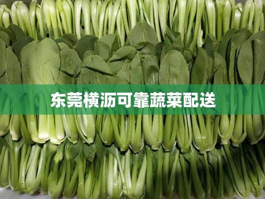 东莞横沥可靠蔬菜配送