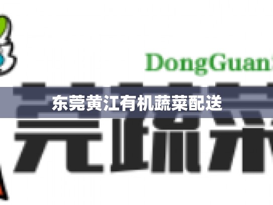 东莞黄江有机蔬菜配送