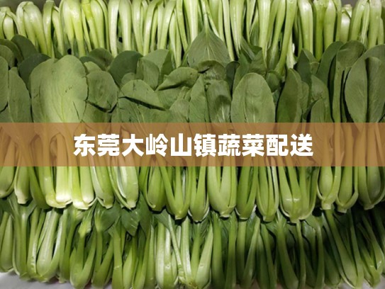 东莞大岭山镇蔬菜配送